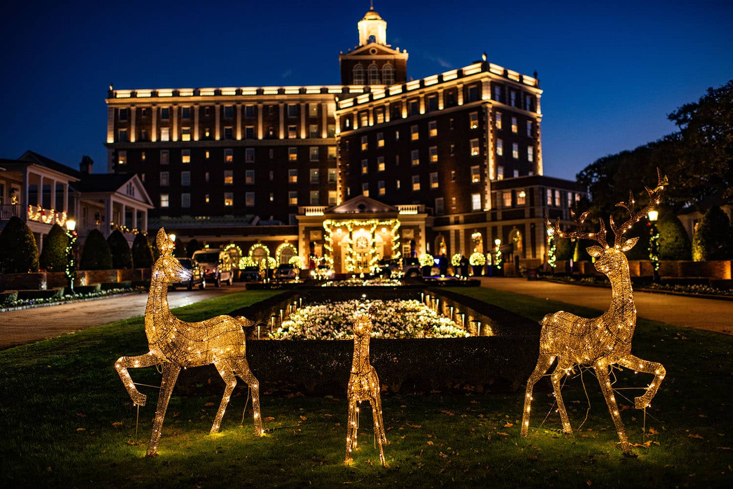 Holliday white lights decorations in front of The Historic Cavalier Hotel