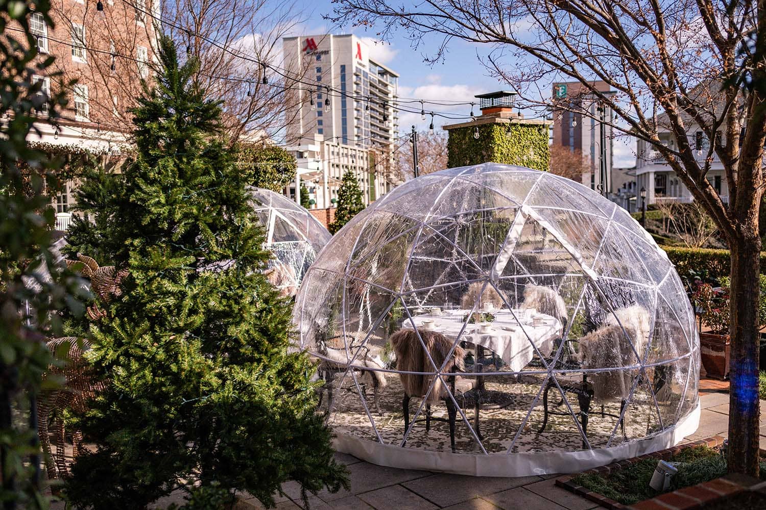 An outdoor dining igloo on a patio