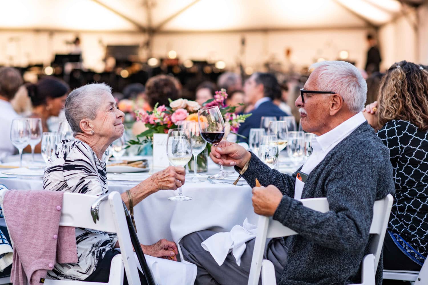The Symphony on the Lawn outdoor concert at The Historic Cavalier