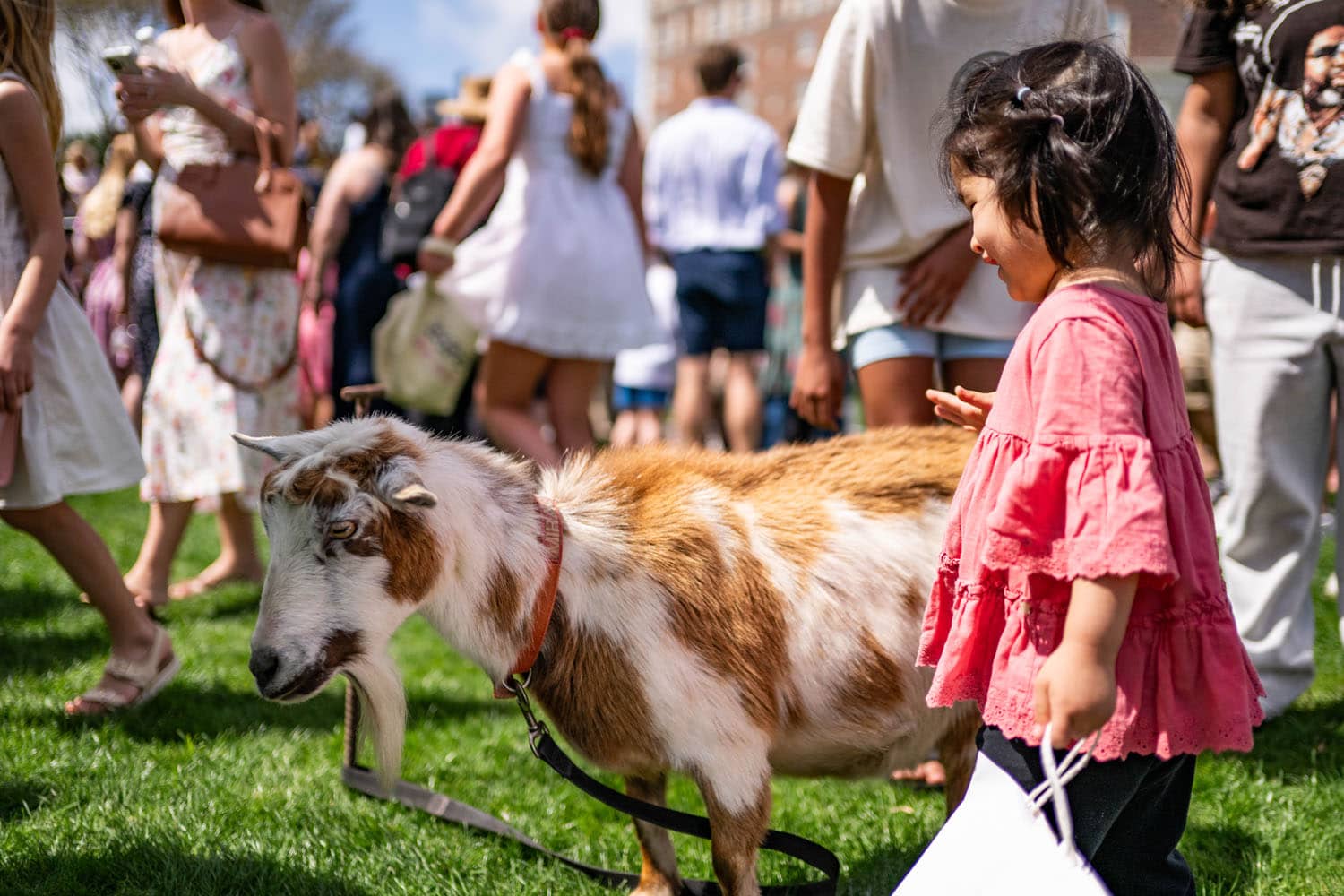 A child petting an animal at The Cavalier Hotel's Grand Easter Celebration