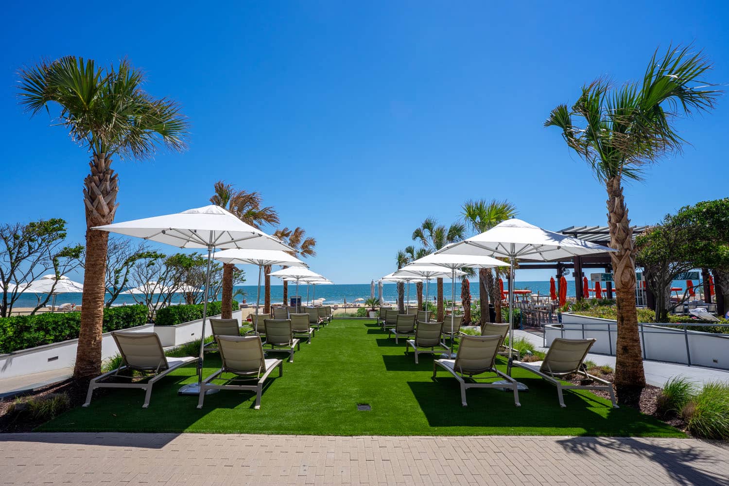 Lounge chairs on a lawn next to the beach at the Marriott Virginia Beach Oceanfront Resort